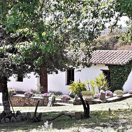 B&B I Menhir Sorgono Экстерьер фото