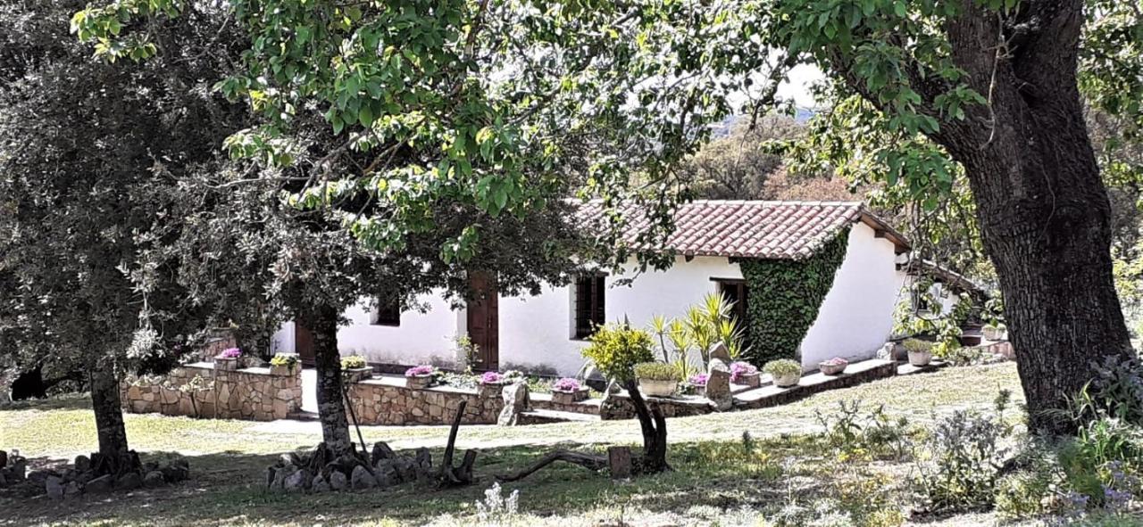 B&B I Menhir Sorgono Экстерьер фото