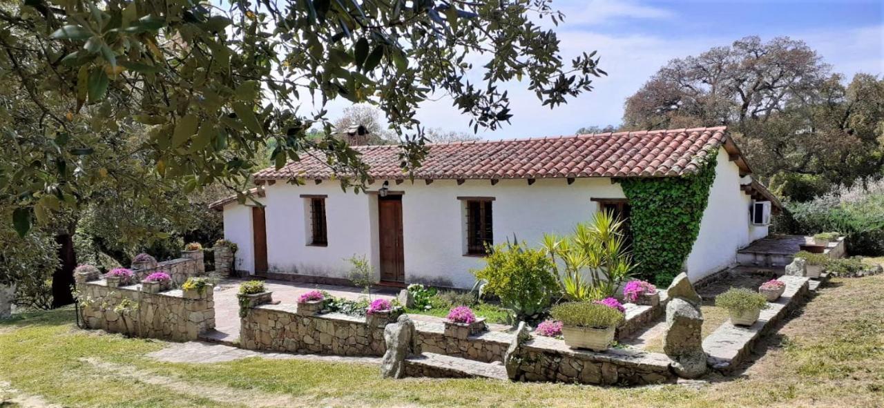 B&B I Menhir Sorgono Экстерьер фото