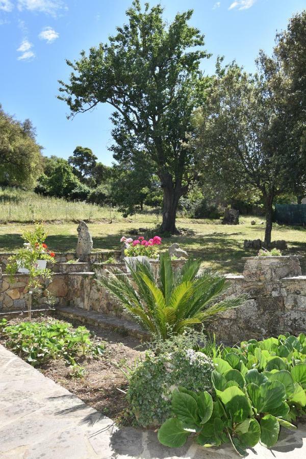 B&B I Menhir Sorgono Экстерьер фото