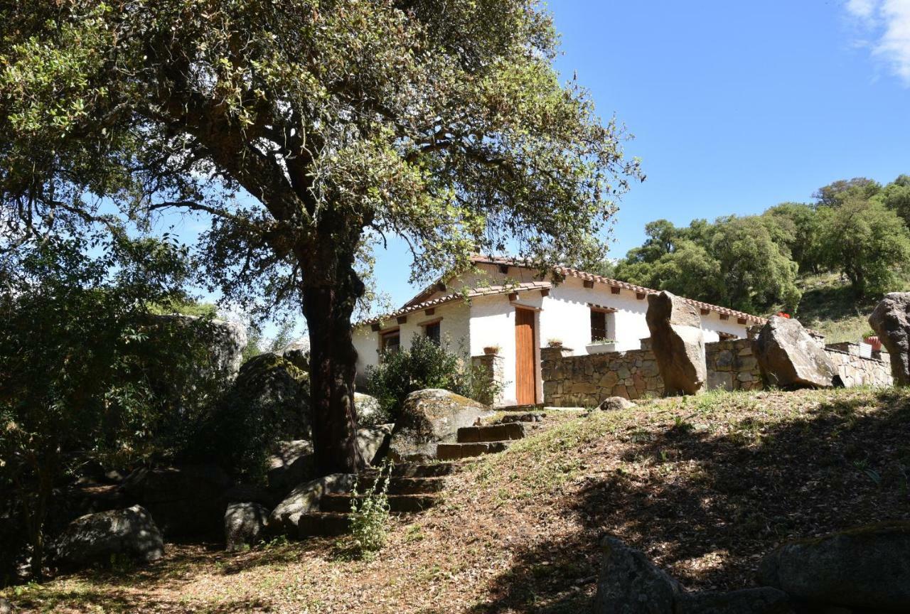 B&B I Menhir Sorgono Экстерьер фото