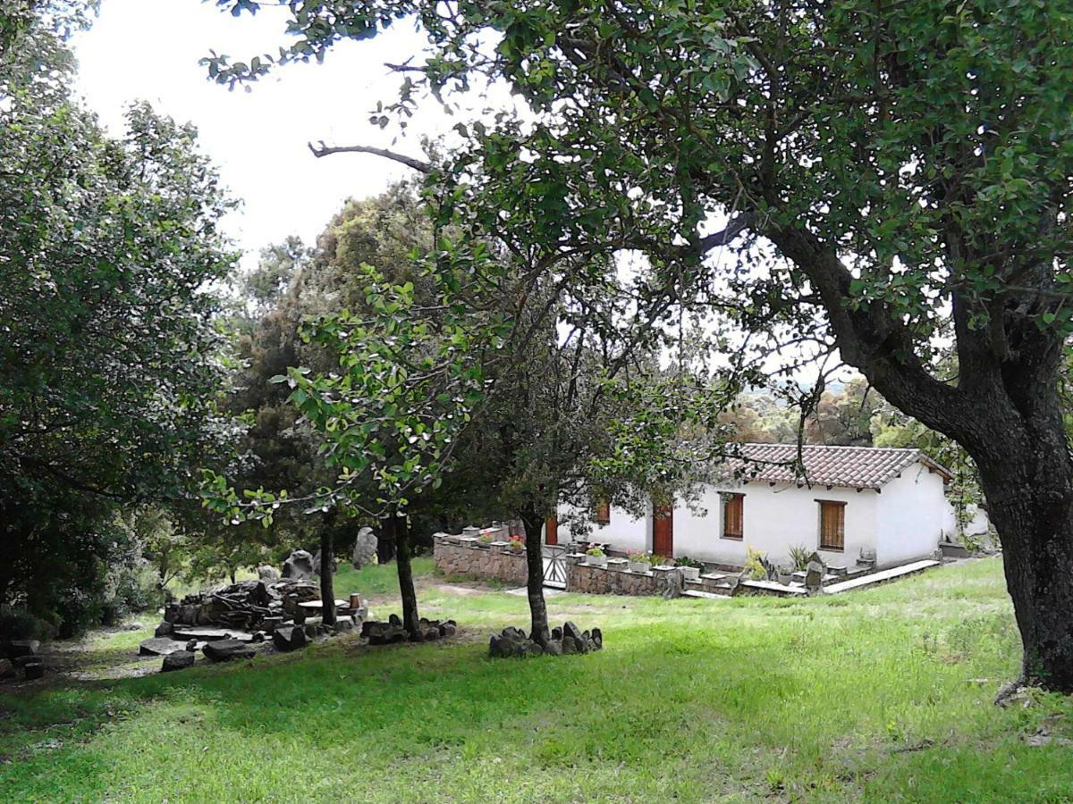 B&B I Menhir Sorgono Экстерьер фото
